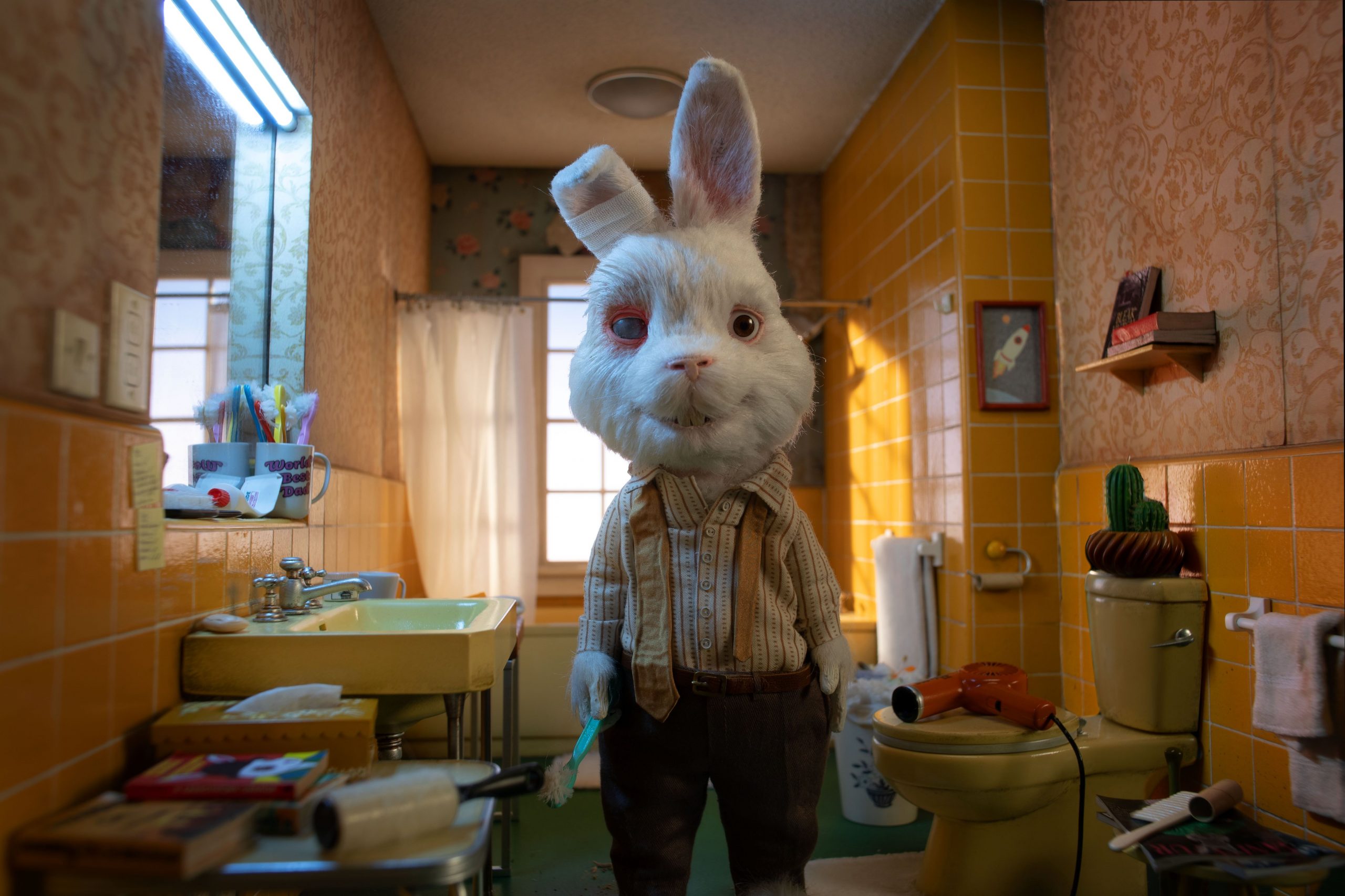 Ralph the Bunny on a mission to ban animal testing in SA - Social TV