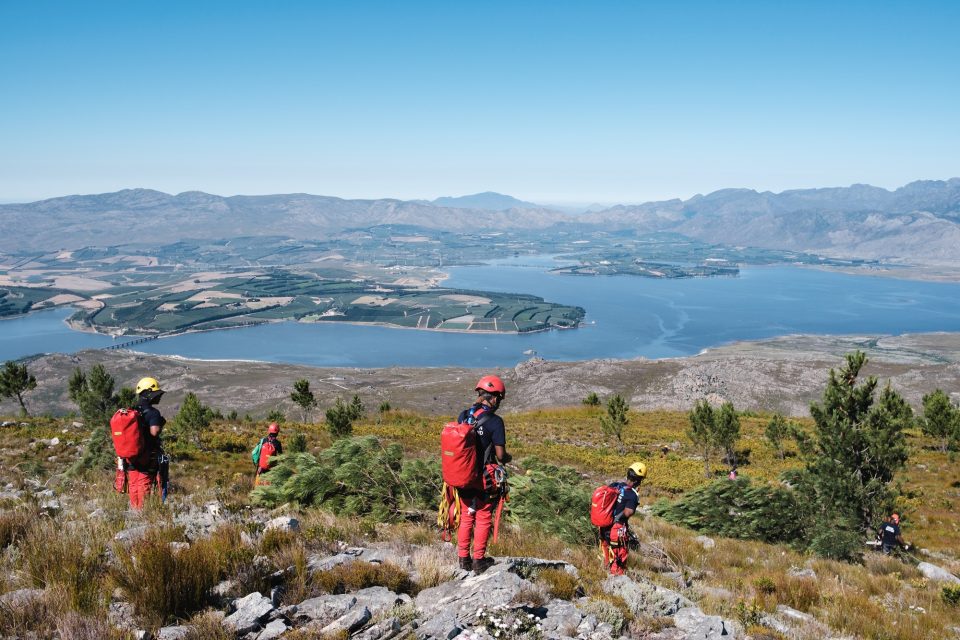 Teams clearing invasive plants in Cape Town catchment areas to improve water supply and protect natural ecosystems