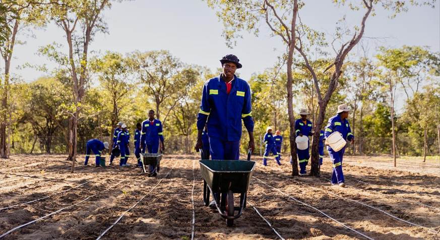 Community members working in conservation landscape supporting sustainable livelihoods and environmental protection aligned with social innovation and ESG principles in Africa.