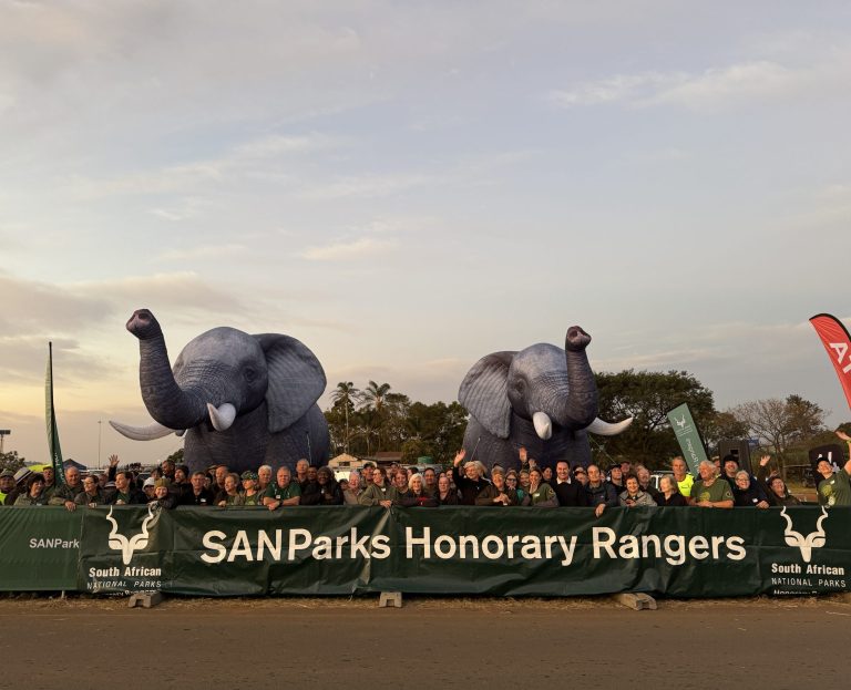 Comrades run supports Kruger conservation