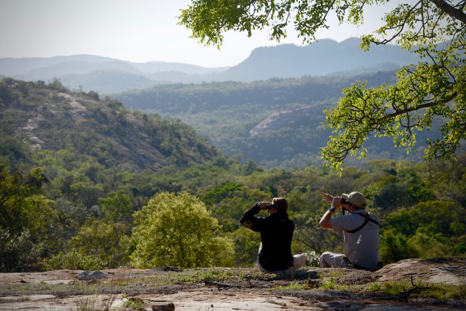 Visitors overlooking restored bushveld landscape at Tomjachu Bush Retreat in South Africa