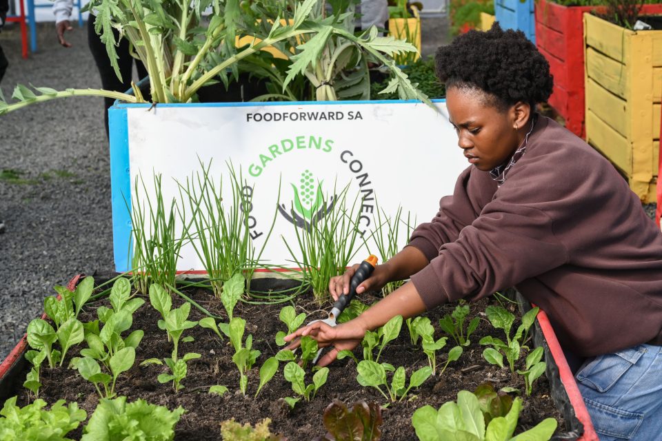 Young participant working in a FoodForward SA community food garden as part of the Food Gardens Connect Programme.
