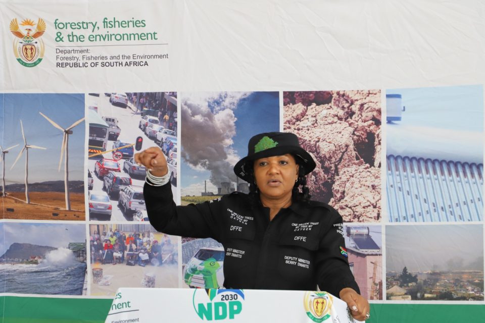 Deputy Minister Bernice Swarts addresses attendees during the launch of the E-Waste Collection and Recycling Pilot Project in Mthatha, Eastern Cape.