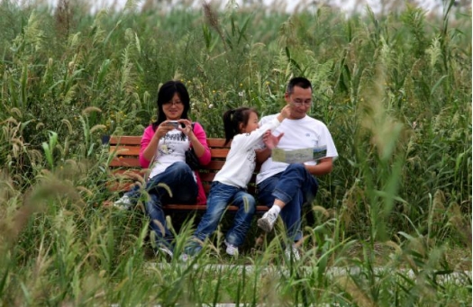 Families At The Heart Of Society