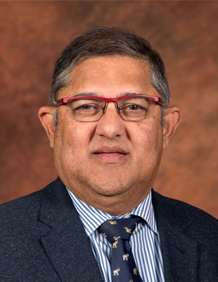 Deputy Minister of Forestry, Fisheries and the Environment Narend Singh during an official government portrait photograph.