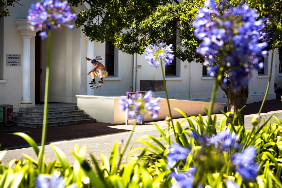 A skateboarder performs an aerial trick outside a historic Cape Town building, framed by purple agapanthus flowers and leafy trees.