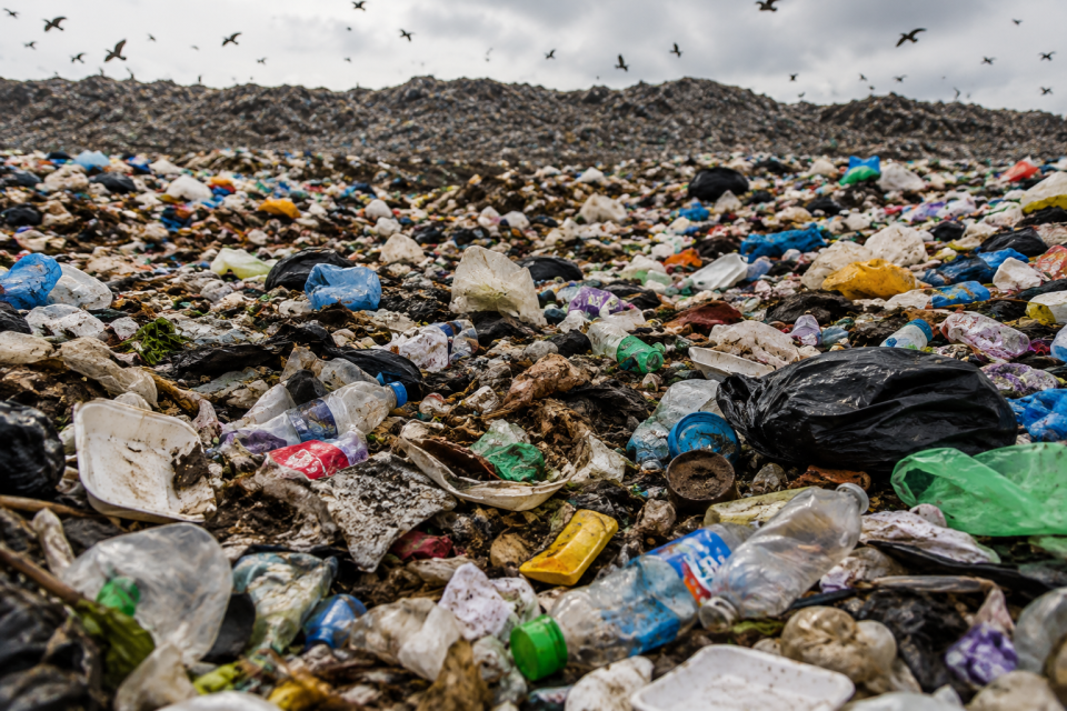 Waste Economy South Africa