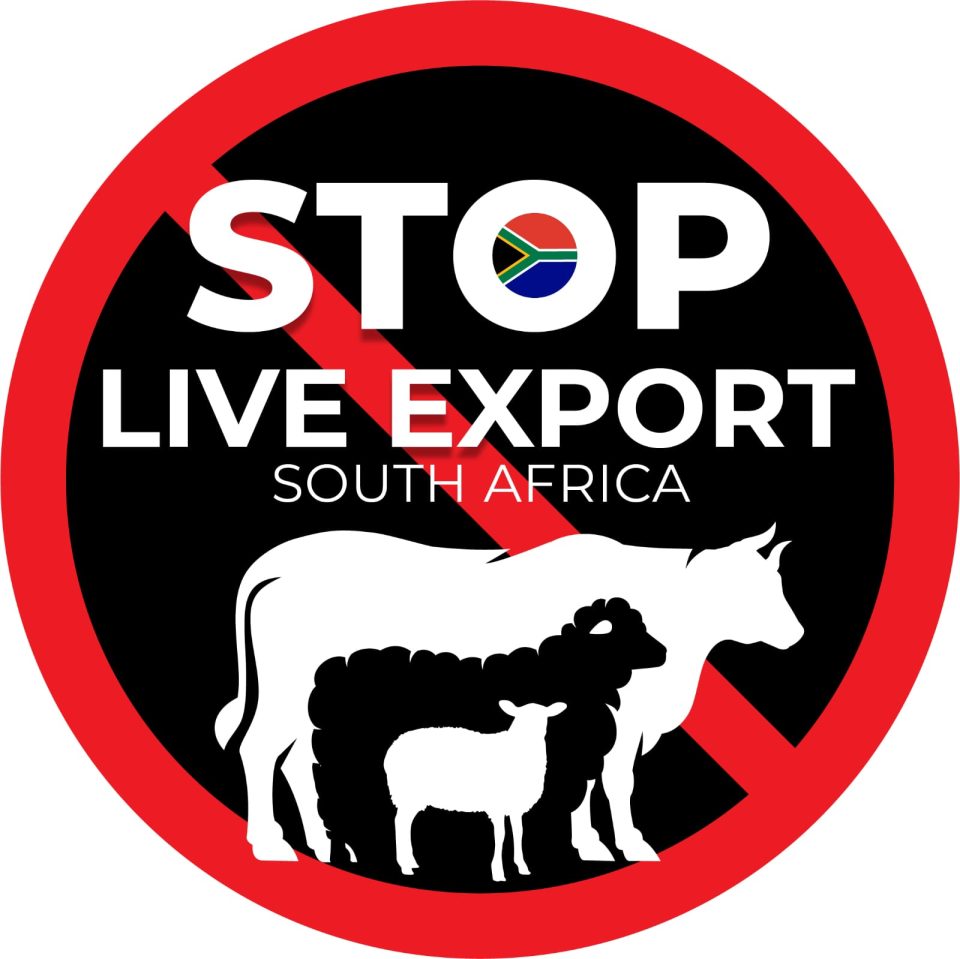 Stop Live Export South Africa logo featuring a red prohibition symbol over silhouettes of a cow, sheep and lamb.