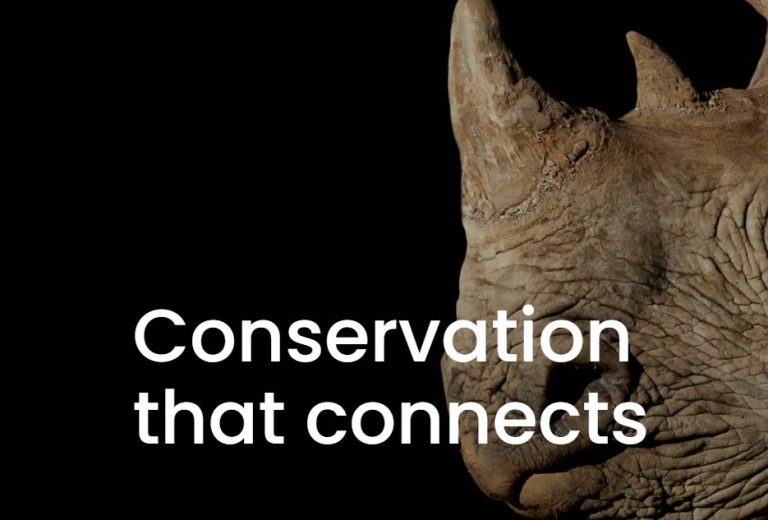 Golf Day Boosts Rhino Conservation
