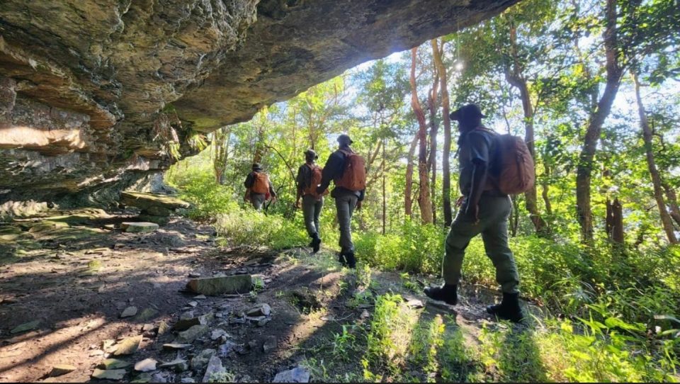 Conservation rangers patrol a forested section of the Soutpansberg, protecting wildlife and restoring one of South Africa's most important biodiversity hotspots.