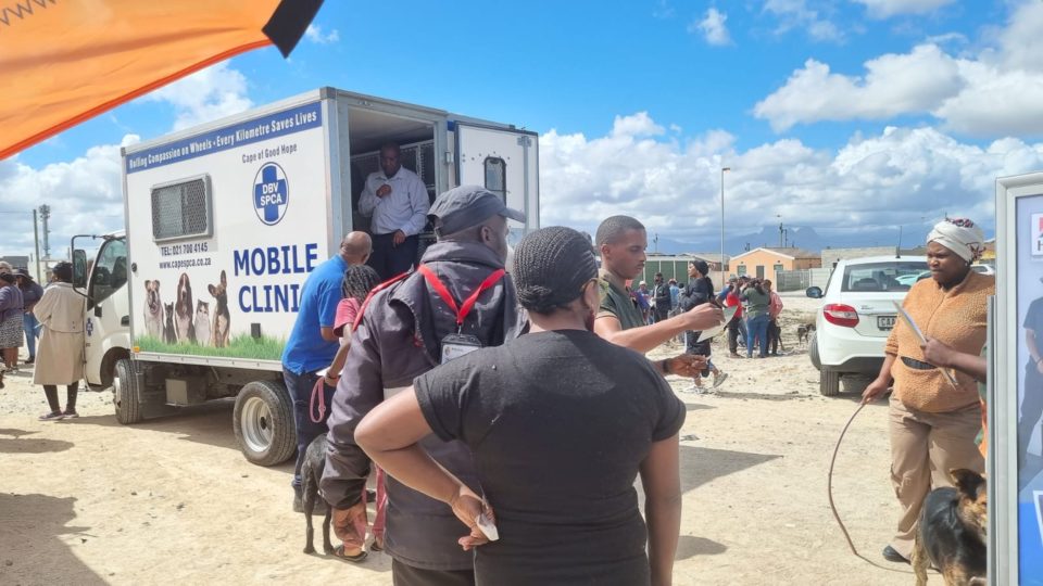 Cape of Good Hope SPCA mobile clinic supporting a community animal welfare and sterilisation campaign in Cape Town.