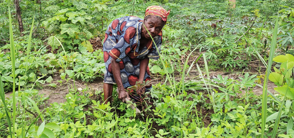 Farmer tends crops in a community food garden supported by ForAfrika in the Central African Republic.
