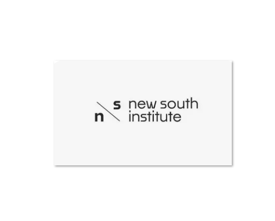 New South Institute logo representing the organisation behind Statecraft 2026, an international congress focused on democracy, public institutions and government reform.