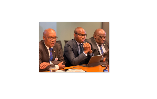 Trade, Industry and Competition Minister Parks Tau participates in a high-level critical minerals discussion in New York.