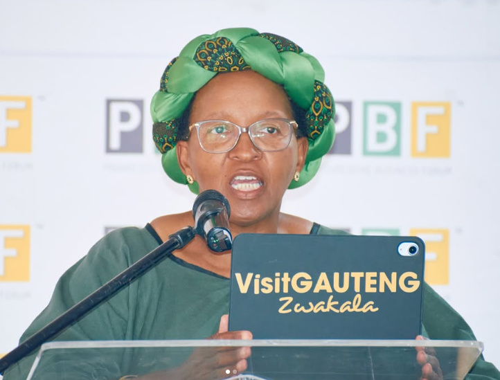 Gauteng Health MEC Faith Mazibuko addresses delegates at the Progressive Business Forum Health and Wellness Colloquium in Johannesburg.