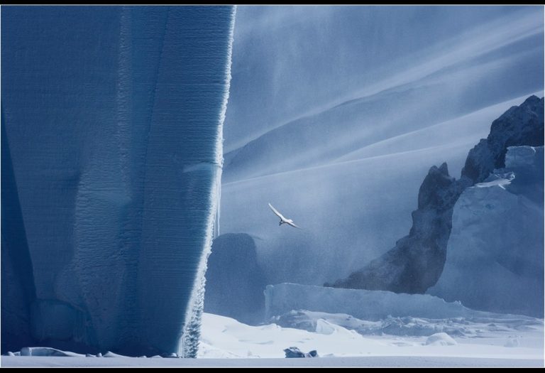 Antarctica Protection Push Targets 2030