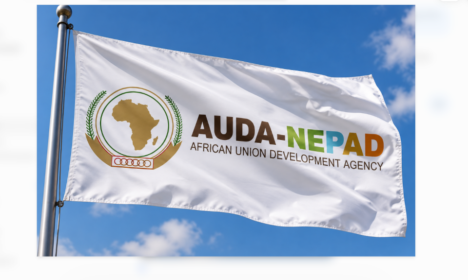AUDA-NEPAD flag flying against a blue sky, representing the African Union Development Agency and its continental development work.