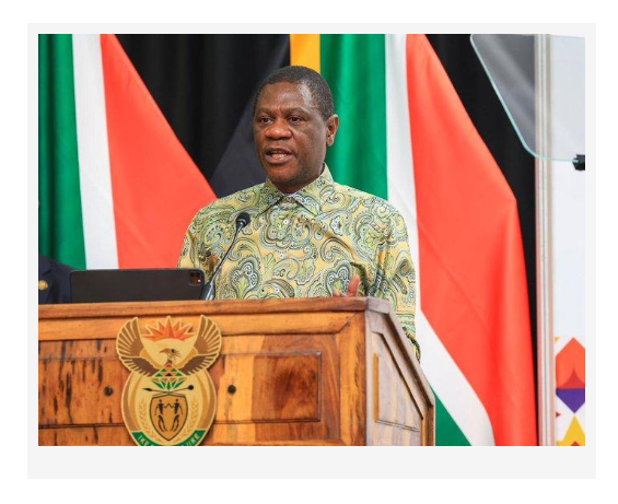 South African government official speaking at a podium with national flags in the background