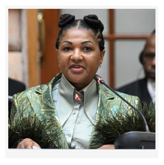 South African government official speaking during an environmental policy engagementSouth Africa E-Waste Recycling Drive